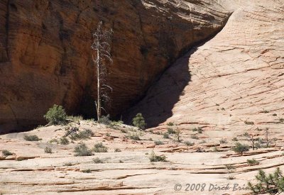 DSC_0079.jpg