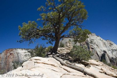 DSC_0148.jpg