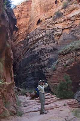 20080613 Zion2 058 copy.jpg