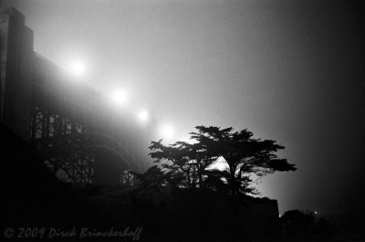 Golden Gate and Cypress On A Foggy Night  - 1967
