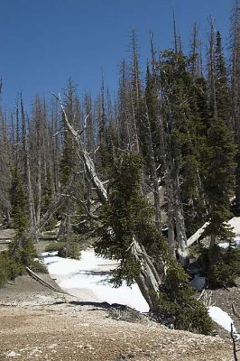 DSC_0120 copy.jpg