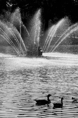 Central Fountain