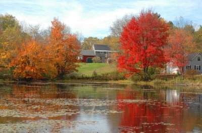 Autumn reflections