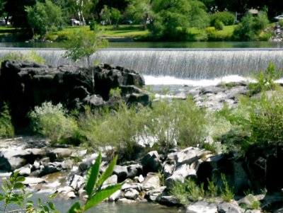 Snake River in Idaho Falls TW.JPG