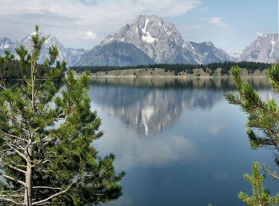 Reflection into Jackson Lake, Wyoming TW.JPG