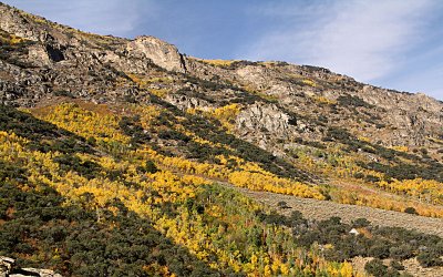 Lamoille Canyon, Elko, Nevada