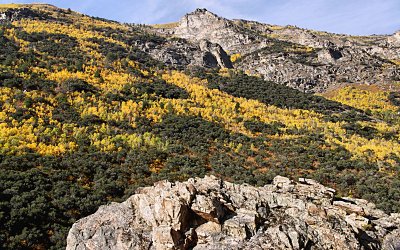 Lamoille Canyon, Elko, Nevada