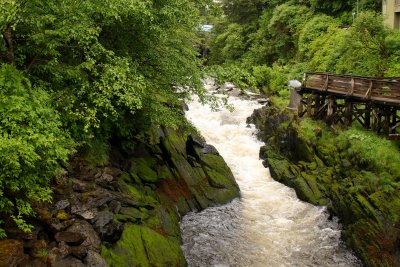 Ketchikan creek
