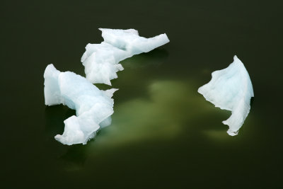 Iceberg