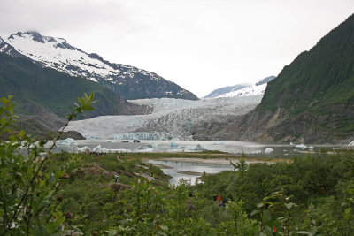 Mendenhall Glacier