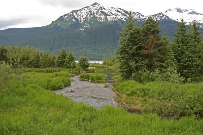 Alaska stream