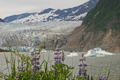 Mendenhall Glacier