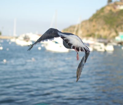 IMG_1903.jpg