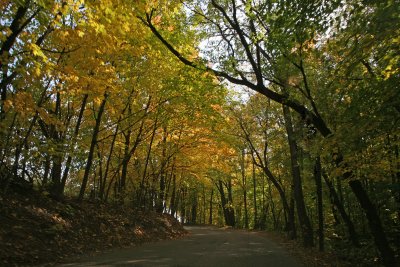 Autumn