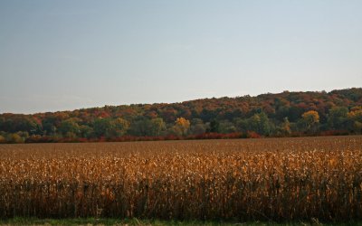Autumn