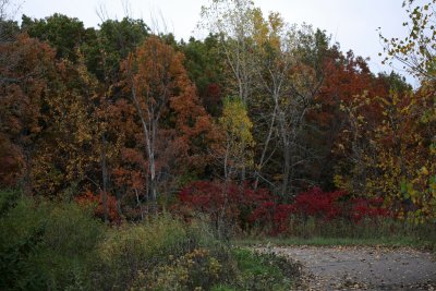 Autumn