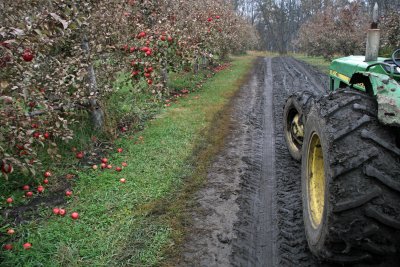 Emma Krumbee's Apple Orchard