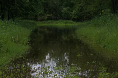 Hiking Trail