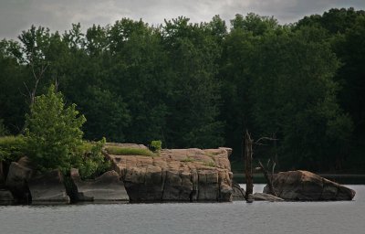 Backwaters of the Minnesota River