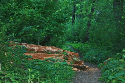 Hiking Trail