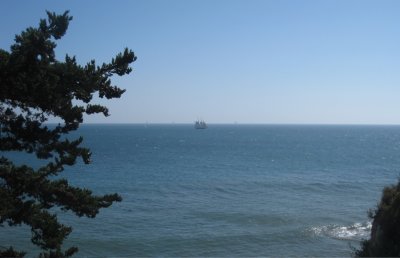 Tall Ship over Shoreline park