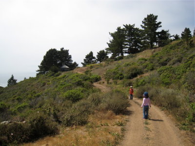 On the trail 2