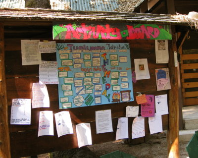the Activity board