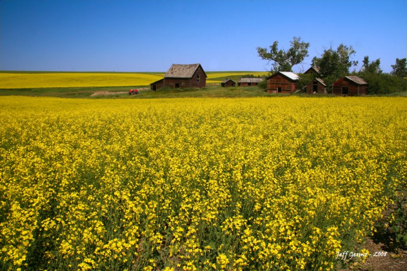 three-hills-homestead.jpg