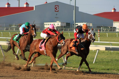 Indiana Downs