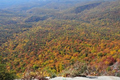 View from Caesars Head