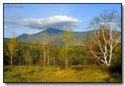 Whiteface Mt.