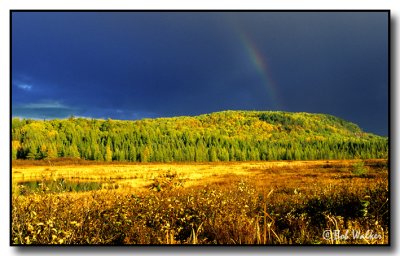 Rainbow Over Algonquin As Seen From Opeongo Road