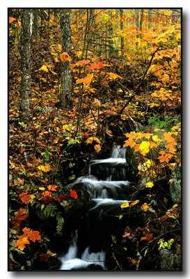 A Little Mountain Falls