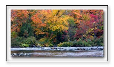 Autumn Flow Along The Oxtongue River