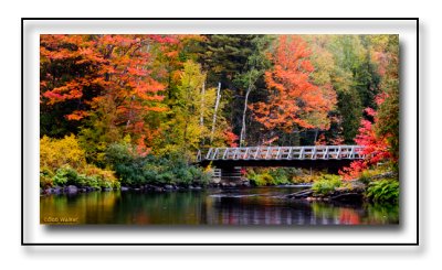 Bridge Over The Oxtongue River