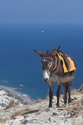 Ancient thira (kamari beach down left)
