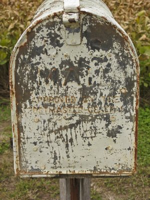 Rustic Mailbox