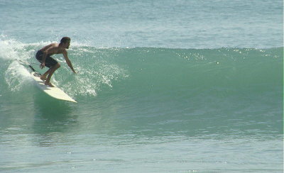 DSC02241 2.JPG