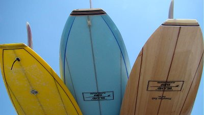 DSC02504 2.JPG