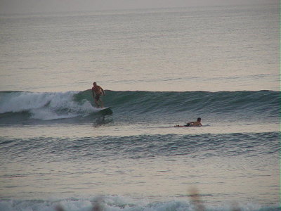 PA110009 2.JPG