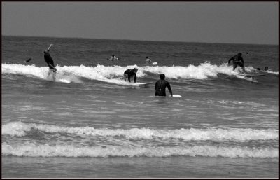 Mission Beach Surfers