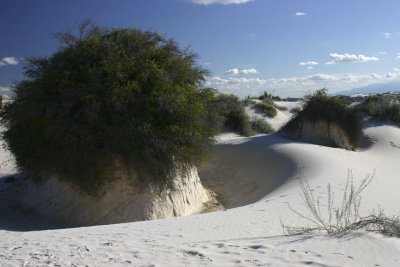 White Sands National Monument