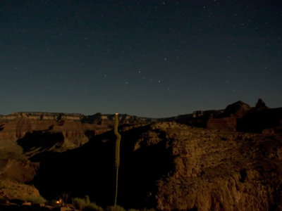 North Rim Lodge lights top of agave
