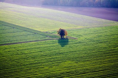 Solitude