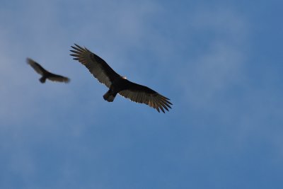 g5/14/328214/3/106739428.X2rGuAlX.jpg