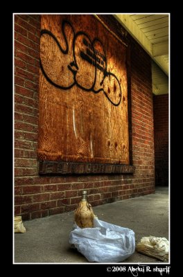 Boards: Urban Decay in West Louisville