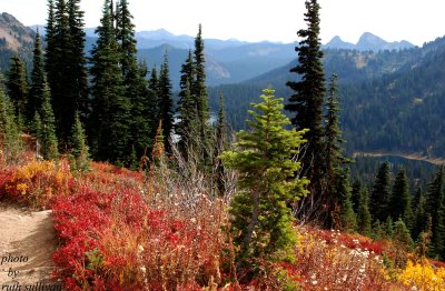 Pacific Crest Trail(with the Dewey Lakes in the background)