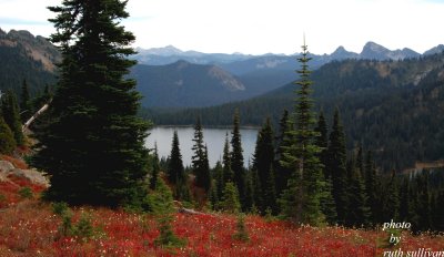 Pacific Crest Trail(with the Dewey Lakes in the background)