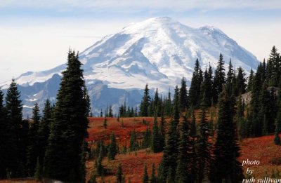 Pacific Crest Trail(with views of Mt.Rainier and subalpine meadows)