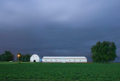 White barn in early morning